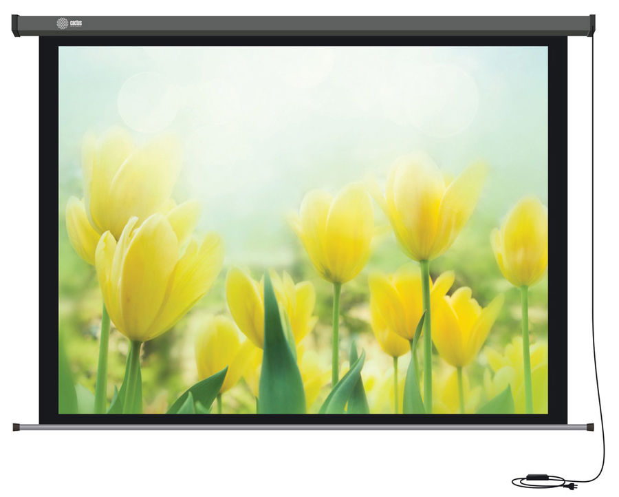 Экран CACTUS Professional Motoscreen CS-PSPM-183x244, 244х183 см, 4:3, настенно-потолочный Экран CACTUS Professional Motoscreen CS-PSPM-183x244, 244х183 см, 4:3, настенно-потолочныйЭкраны для проекторов<br>размер экрана (ШхВ): 244х183 см, настенно-потолочный, диагональ: 120, формат: 4:3, моторизованный привод, вес: 14кг<br><br>Линейка: Professional Motoscreen