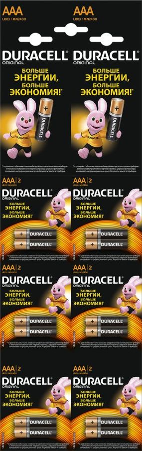 Батарея DURACELL Basic LR03-2BL, 12 шт. AAA Батарея DURACELL Basic LR03-2BL, 12 шт. AAAБатарейки<br>тип элемента питания: AAA; количество в комплекте: 12<br><br>Линейка: Basic