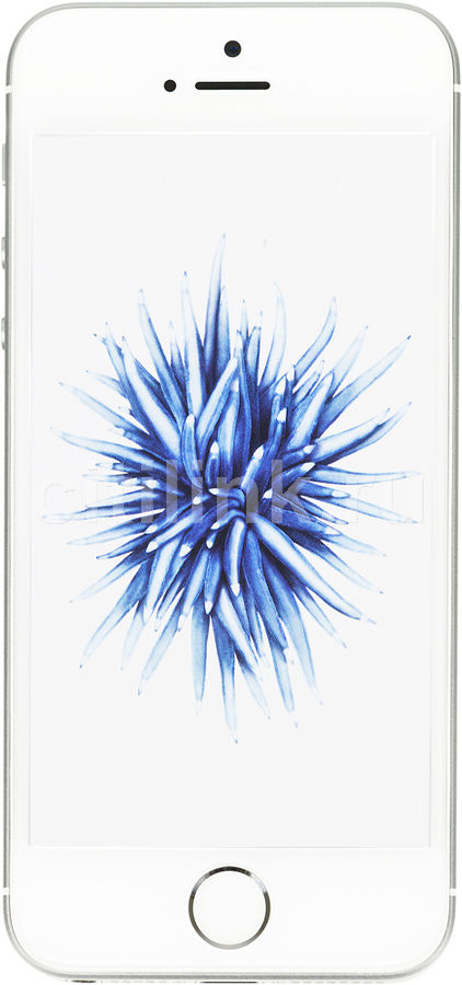 Смартфон APPLE iPhone SE MP832RU/A 32Gb, серебристый Смартфон APPLE iPhone SE MP832RU/A 32Gb, серебристыйМобильные телефоны<br>ОС iPhone iOS 9, экран: 4, IPS, 1136x640, процессор: Apple A9, 1800МГц, 2-х ядерный, камера: 12Мп, ГЛОНАСС, время работы в режиме разговора, до: 14ч, в режиме ожидания, до: 240ч<br><br>Цвет: серебристый