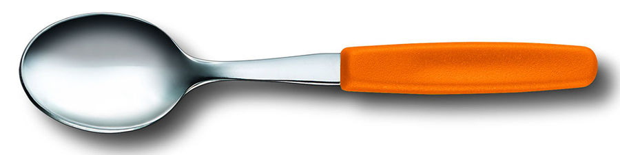 Набор ложек Victorinox SWISS CLASSIC наб.:6предм. (5.1576.L9) Набор ложек Victorinox SWISS CLASSIC наб.:6предм. (5.1576.L9)Столовые приборы<br><br>
