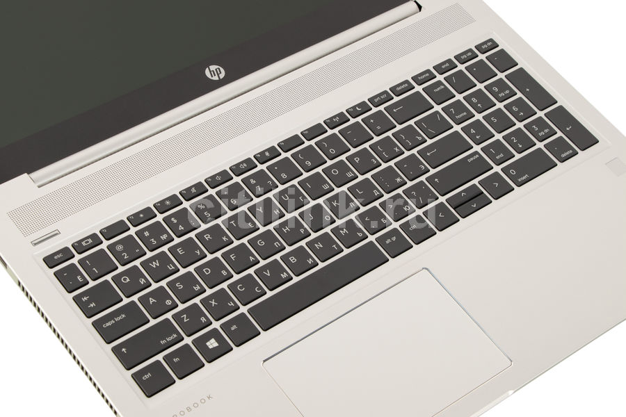 Ноутбук Hp Probook 455 G7 1f3m4ea Купить