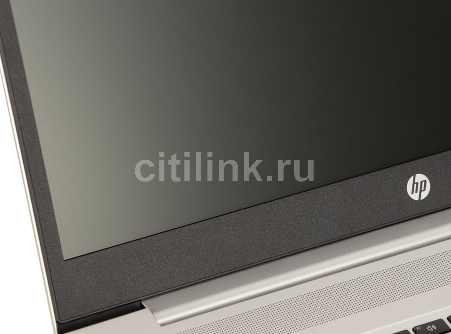 Ноутбук Hp Probook 455 G7 1f3m4ea Купить