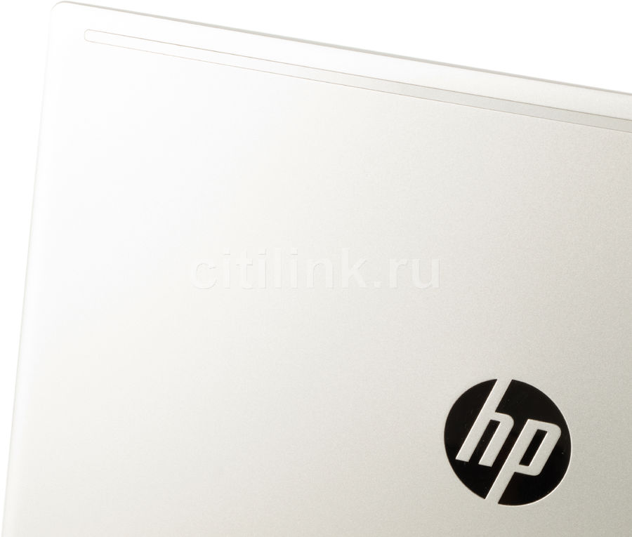 Ноутбук Hp Probook 455 G7 1f3m4ea Купить