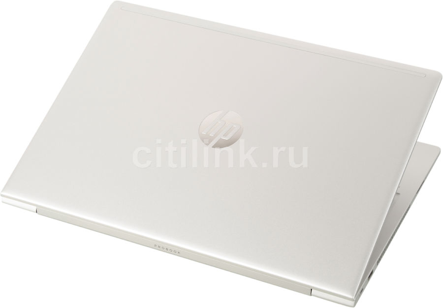 Ноутбук Hp Probook 455 G7 1f3m4ea Купить