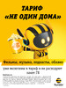 88007255725 Интернет Магазин Билайн