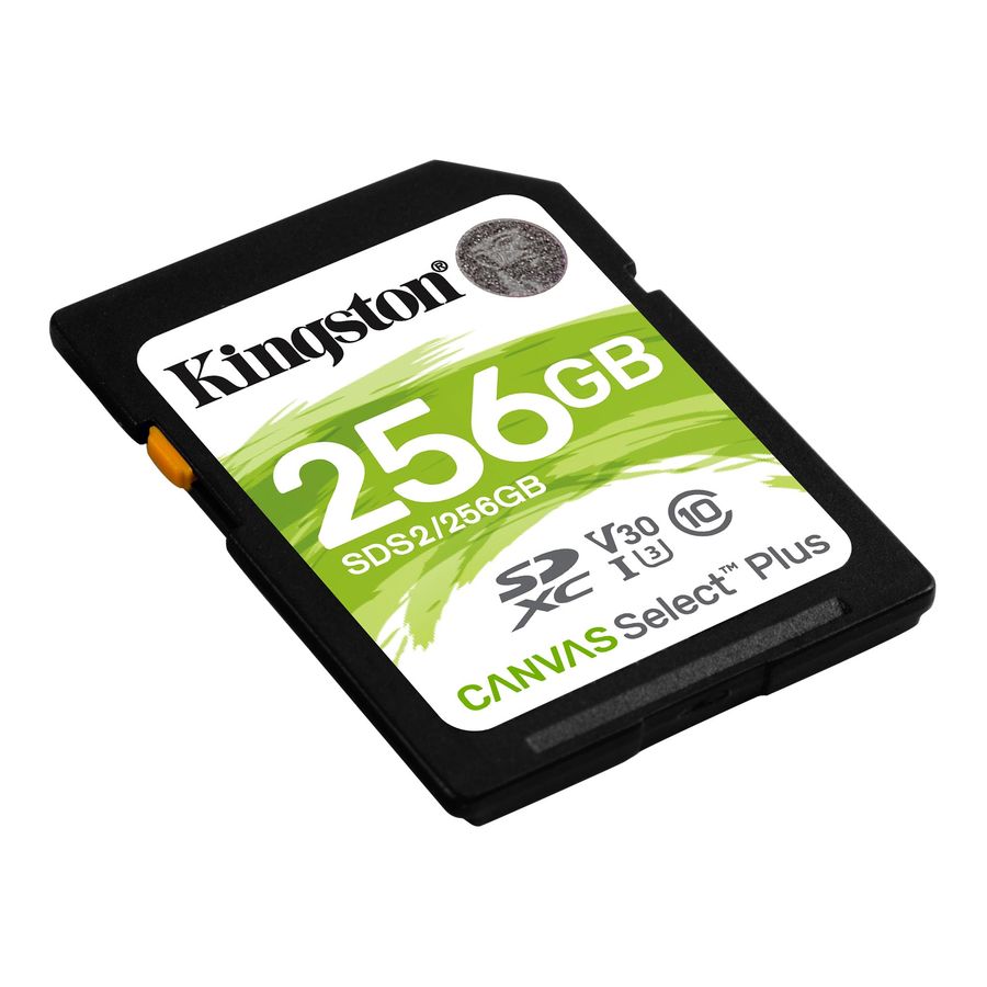 Карта памяти sdxc kingston canvas go plus 256 гб sdg3 256gb