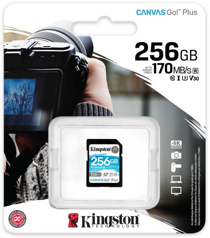 Карта памяти sdxc kingston canvas go plus 256 гб sdg3 256gb