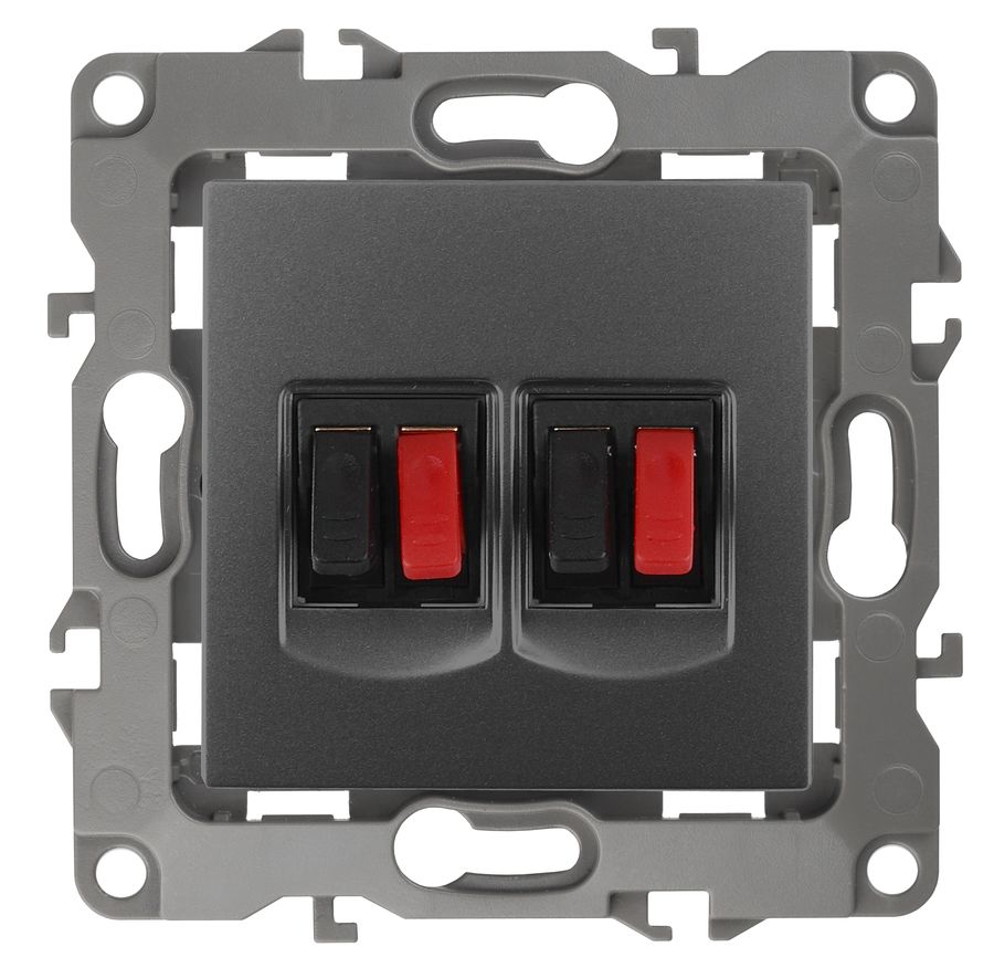 Розетка аудио Эра Серия 12 12-3112-12, двойная, скрытая, IP20, графит ...