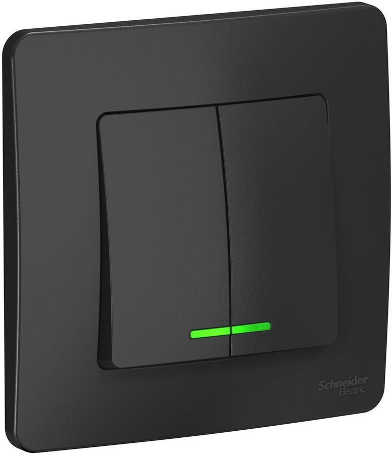 Выключатель Schneider Electric Blanca BLNVS010516, 2-клавишный, с ...