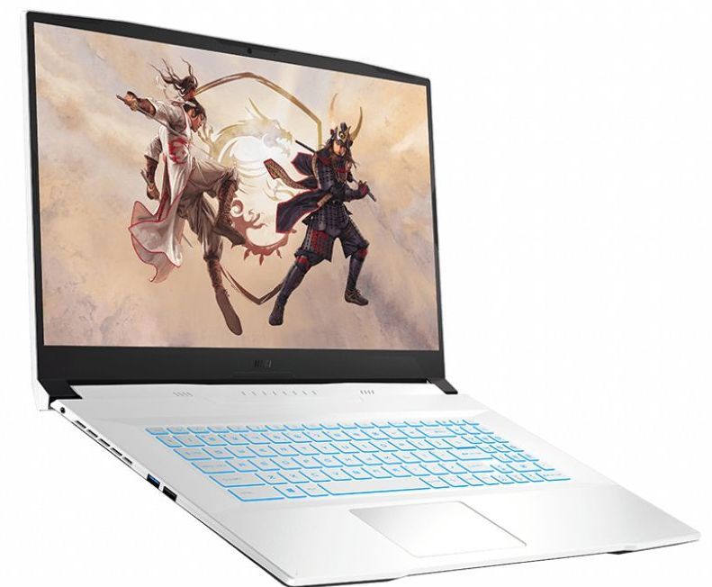 Купить Чистящие средства для ноутбук MSI Sword 17 A12UD-247XRU, 17.3 ...